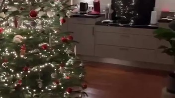 DUMPERT - Kerstmis is voorbij