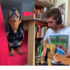 Muzikale honden