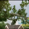 Wiegel Bouwhuis Commercial