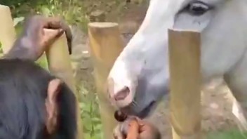 DUMPERT - Jij lust dat niet? Ik wel hoor