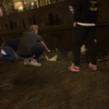 Studentje in Utrecht pakt gans bij de nek