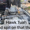 Hawk Tuah 
