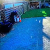Ff lekker de boom snoeien 