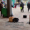 Straatartieste ziet zwerver vuilnisbak plunderen