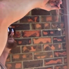 Aussie heeft honger