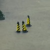 De paringsdans van de wilde verkeerspylon