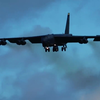 B-52 beuken door eunice heen