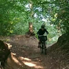Fietsfail in het bos