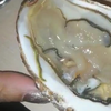 Lekkere oester