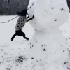 Verschrikkelijke sneeuwman!