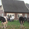Boer Gerrit uit Usselo doet koeien melk'n