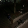 Relschoppers bang maken na protest Groningen
