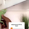Organische vliegenmepper gekocht