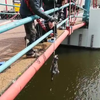 Magneetvisser trekt AK-47 uit de water