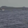 Walvis kopt walvisspotters