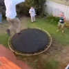 Van het dak op de trampoline 