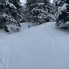 Lekker skiën in de verse Schnee