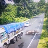Neushoorn ramt vrachtwagen