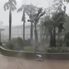 Stukje wandelen tijdens de orkaan 