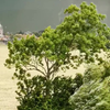 Windhoos van een afstandje 