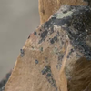 Dumpert natuurfilmpje