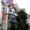 Megapoeskat maakt Tokyo onveilig