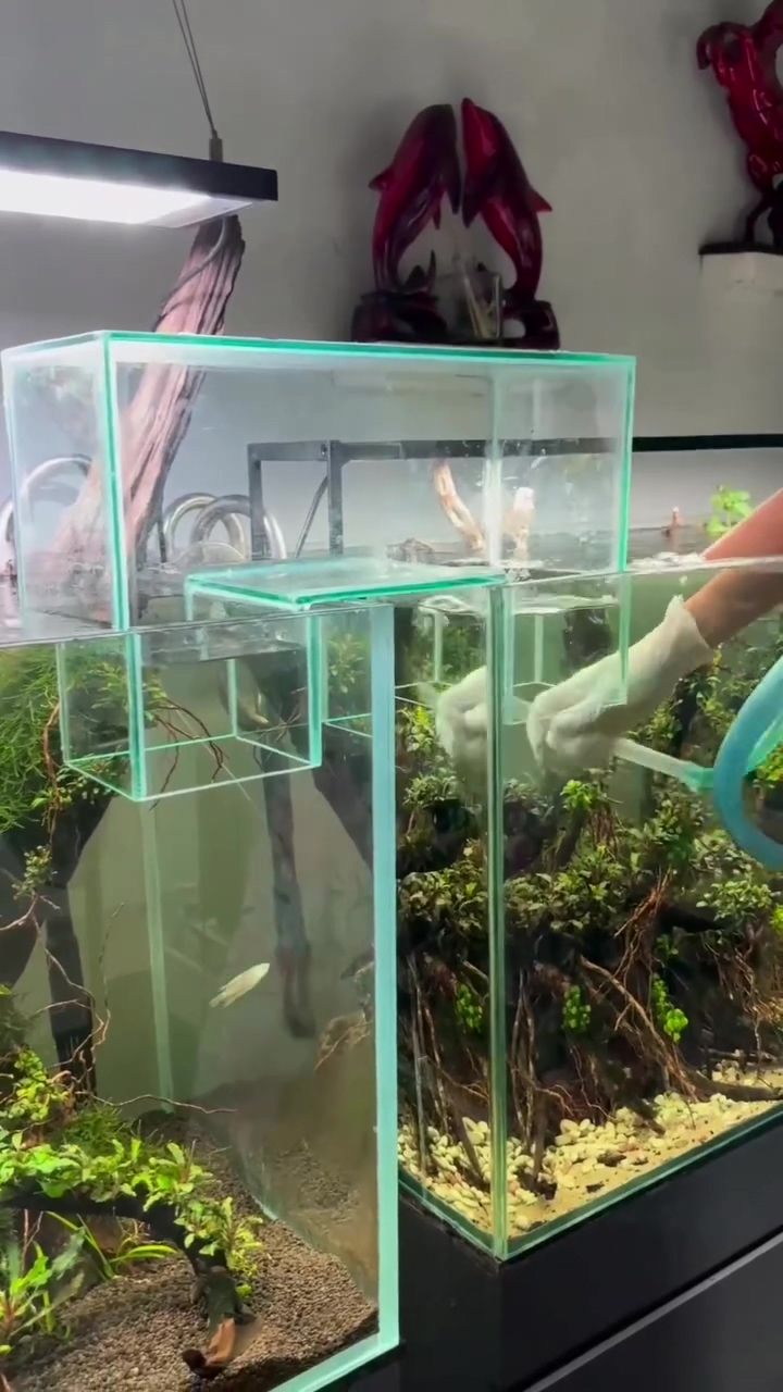 DUMPERT Van 2 aquariums 1 maken