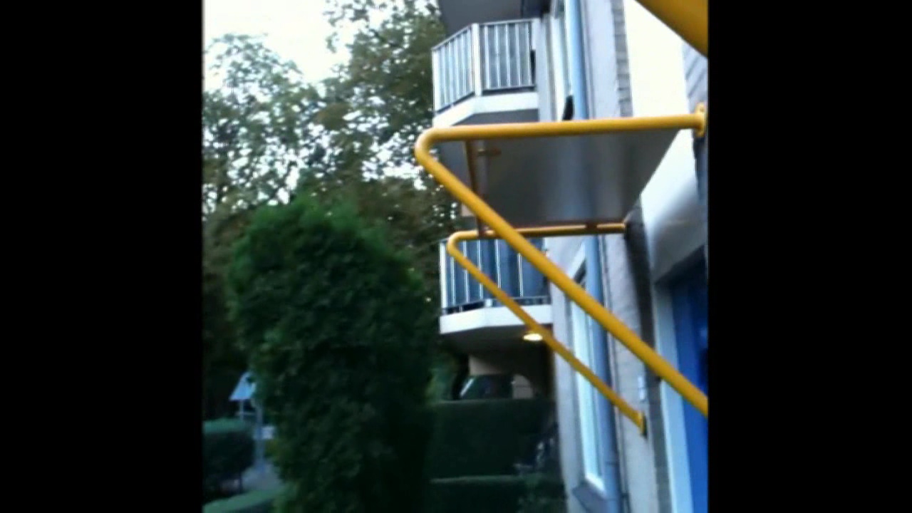 DUMPERT - Bergen op Zoom: Maar buurman, wat doet u nu?