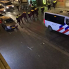 Politie Arnhem 