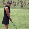 Dagje golfen in Aussieland 
