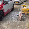 Dochterlief helpt de auto schoonmaken