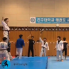 Taekwondo