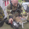 Brandweer Rotterdam redt kat uit brandend huis