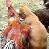 Pussy <3 cock