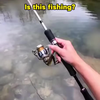 Telt dit ook als vissen?
