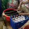 Coca cola recyclingfabriek