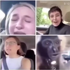 Zoekvideo 
