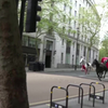 Paarden op hol door Londen
