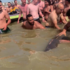 Vrouw gaat op dolfijn zitten bij Zandvoort strand