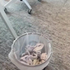 Papierverspilling op kantoor