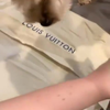 Nieuwe Louis Vuitton-tas gekocht