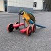 Hoe papegaaien naar hun werk gaan 