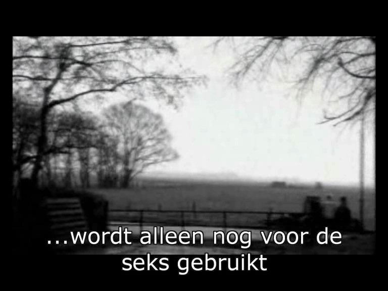 dumpert.nl Het regent zonnestralen. Maar dat letterlijk