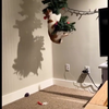 Kerstboom hufterproof maken