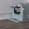 Hoe dieren denken