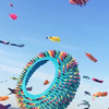 Vliegerfestival in Denemarken