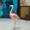 Flamingo doet Flamingo