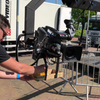 De Bierkraan