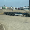 Truckert vs meeuw in Rotterdamse haven