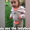 The only good bug is a dead bug